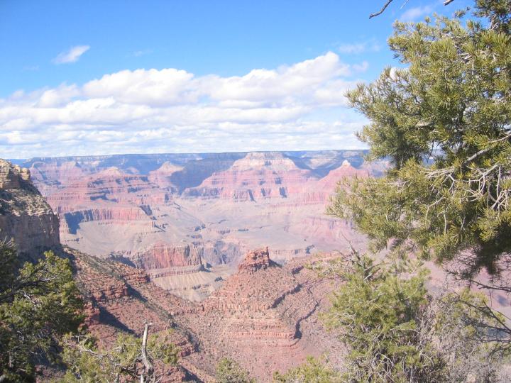 The Grand Canyon