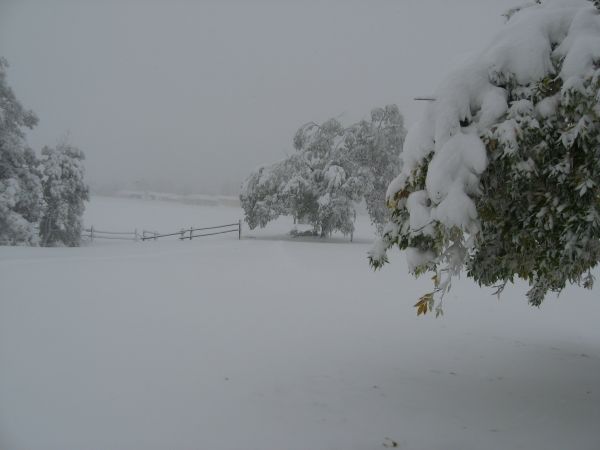 This is winter at my house...this is my front yard