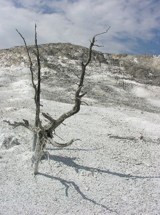 Mammoth Hot Springs Yellowstone 3