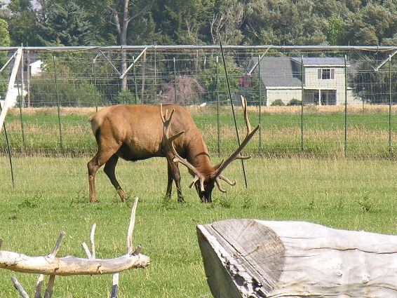 Nice rack