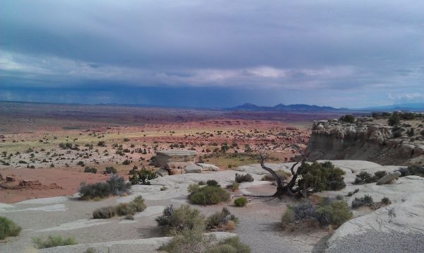 Utah Desert