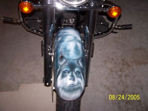 front fender