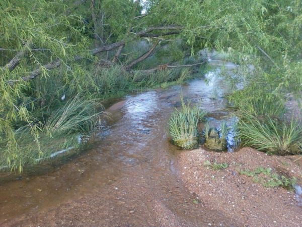 Enchanted Rock State Park 1