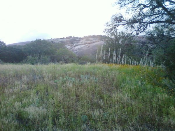 Enchanted Rock 9