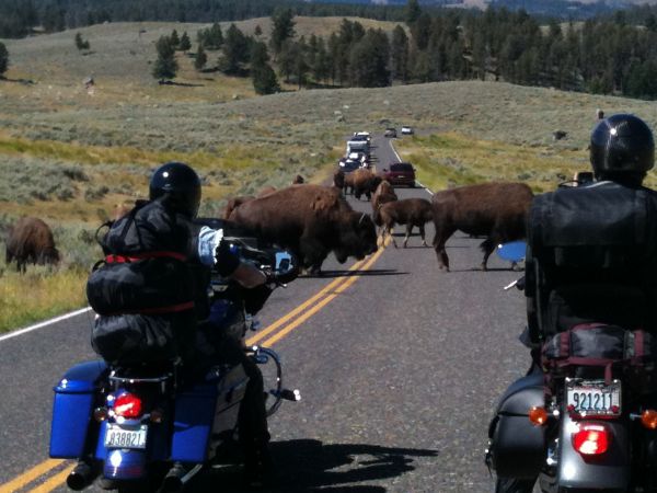 YellowStone