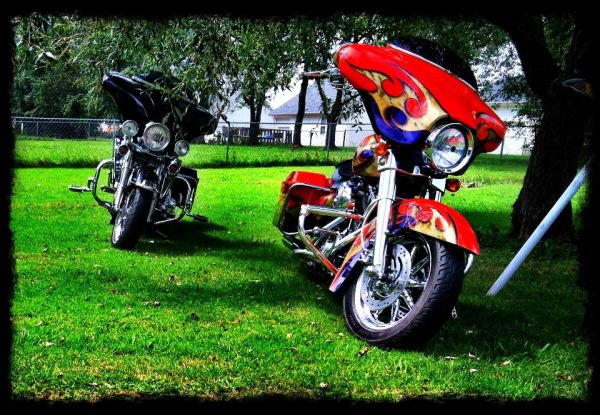 DB &amp; Mama Bike in back yard