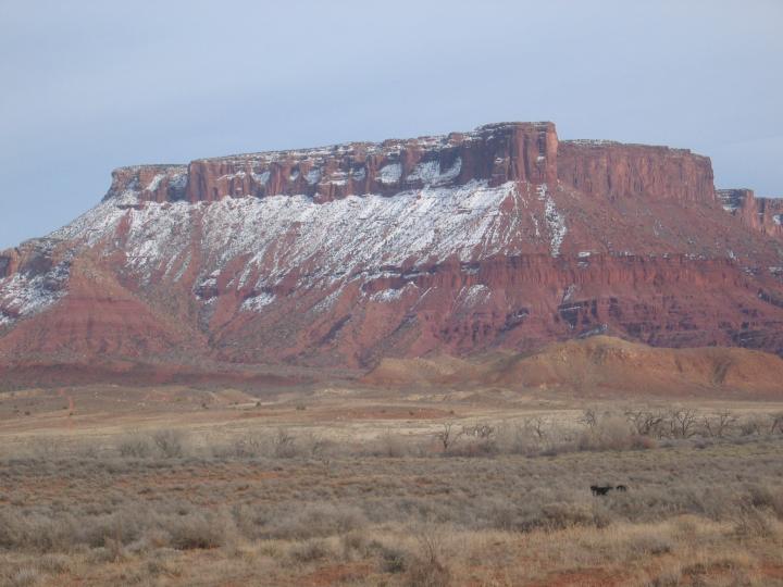 Out west in the deseret i found this while i wondered