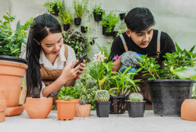 Why Regular Garden Maintenance Is Essential for a Healthy Outdo