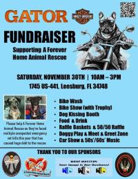 Gator H-D Fundraiser for A Forever Home Animal Rescue