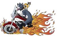 7th Annual Ride for Animals Benefiting BARCS and Bella's Bully Buddies