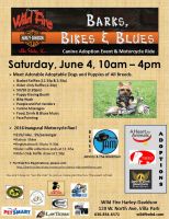 Bikes,Barks and Blues3