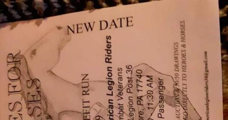 Steel Horses for real Horses