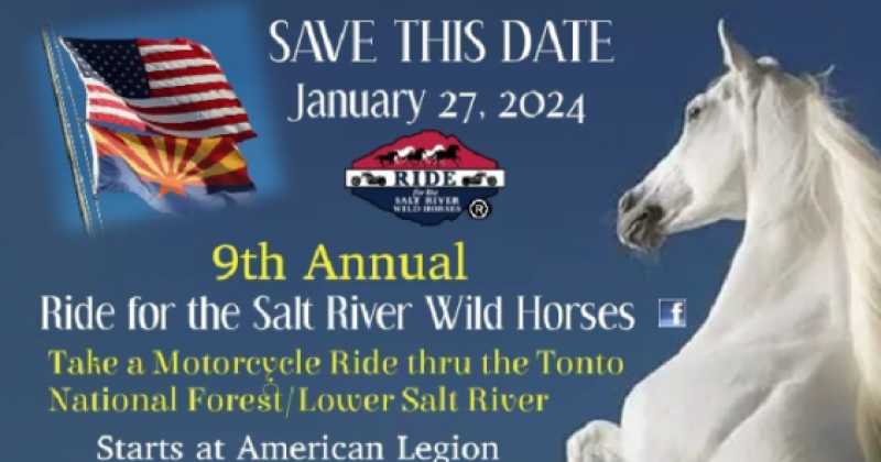 9th Ride for the Salt River Wild Horses
