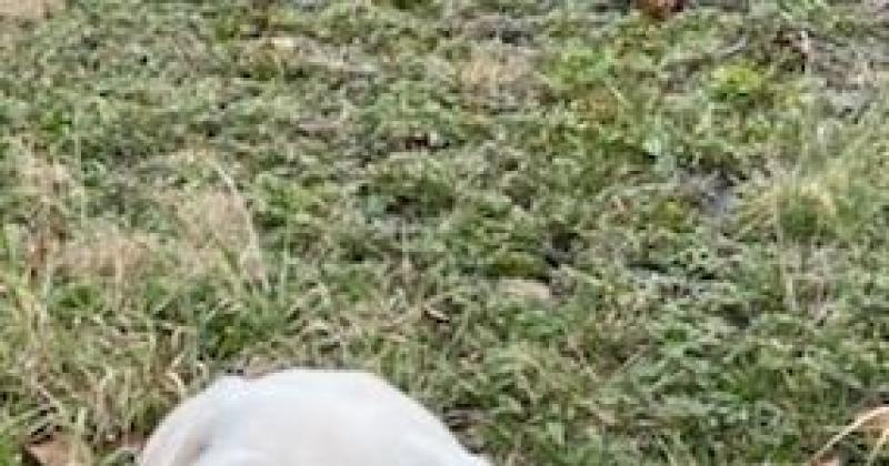 ALR Post 701 Charity Ride