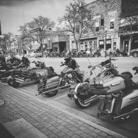 Bike Night in Romeo