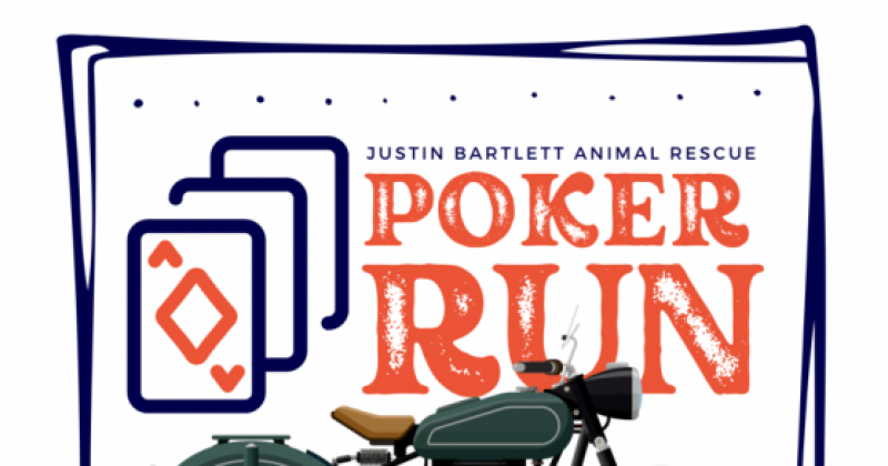 Animal Aid, The Concert