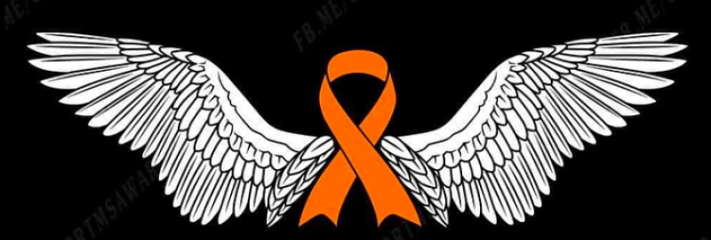 MS Warriors and Angels Riding for Research