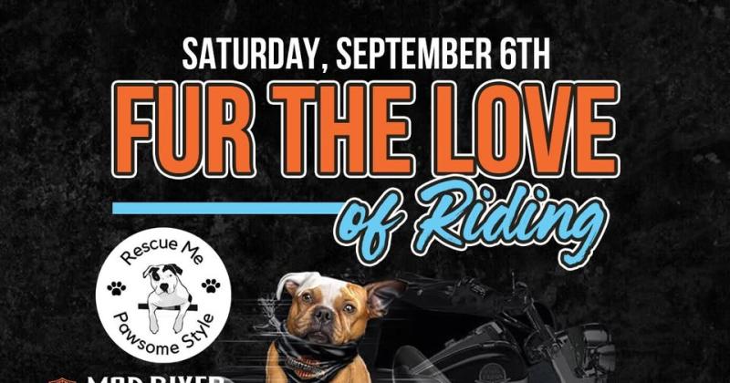 Fur The Love of Riding