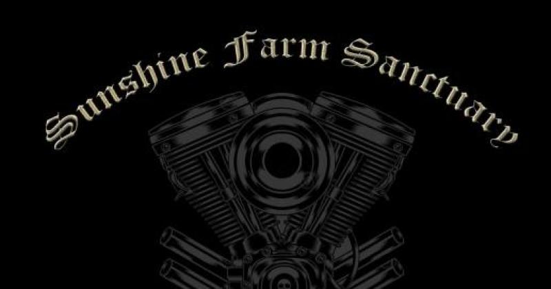 Full Throttle for Foster Kids Poker Run