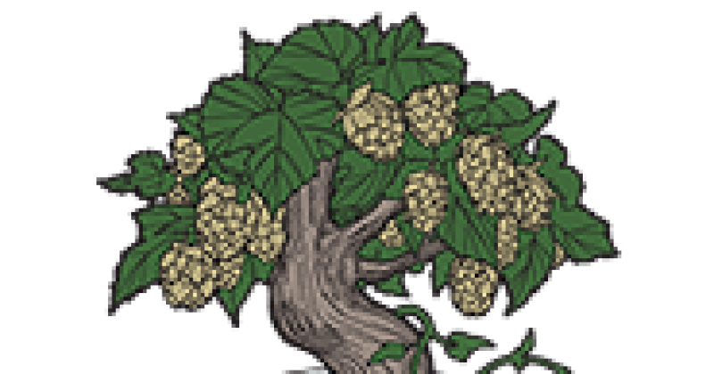  Bike Night at Vibrissa (formerly Front Royal Brewing Co.)