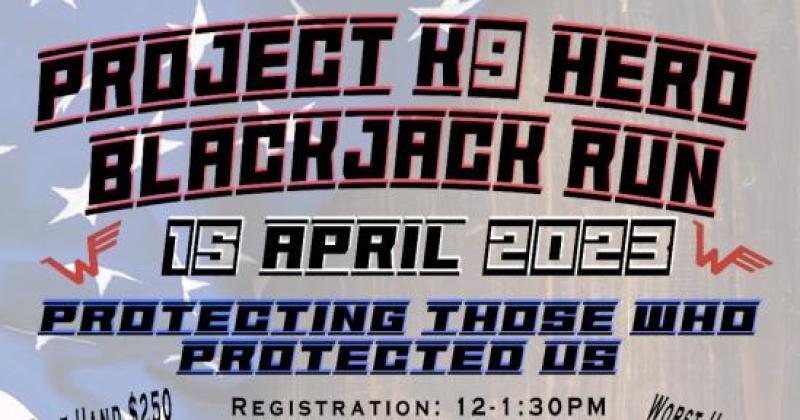 Project K-9 Hero Blackjack run