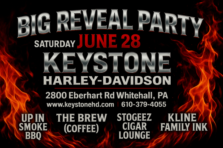 BIG Reveal Party