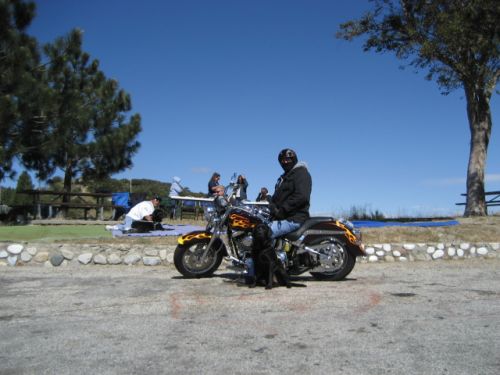 Ernie at bear divide taking five.